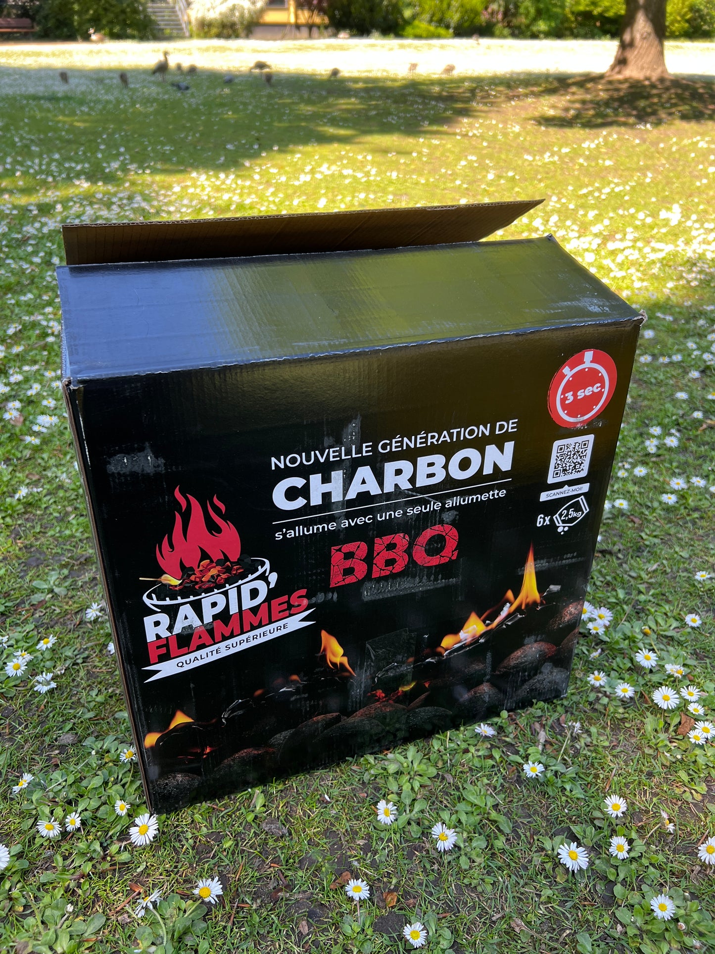 RAPID FLAMES Grillkohle